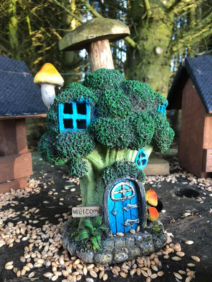 The Fairy Woods at Fedderate